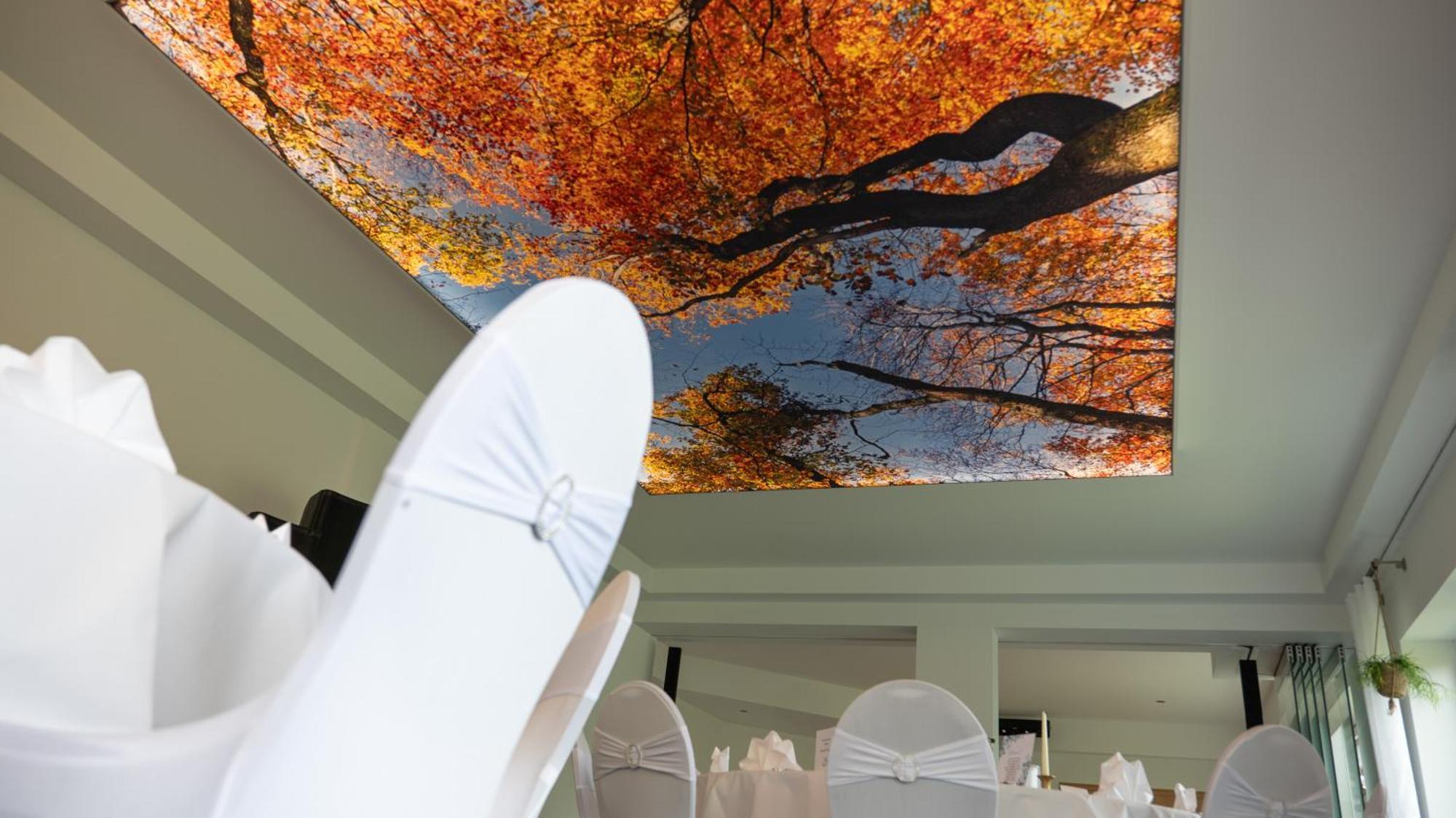 Landhotel Grashof Mittelkalbach 외부 사진